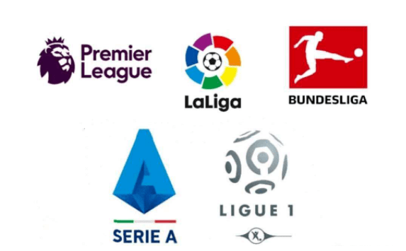 直接展示了 直接展示了